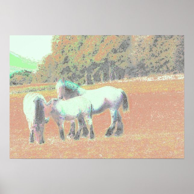 Pôster 53 bis (Frente)