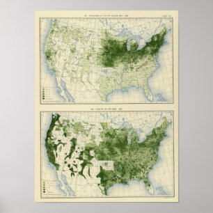 Pôster 53 feno 1890