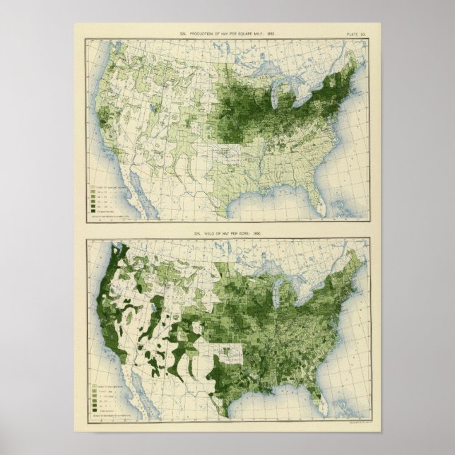Pôster 53 Hay 1890 (Frente)
