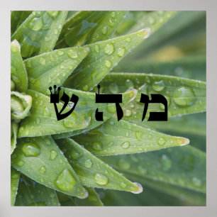 Pôster 5 Curar - 72 Nomes de Deus