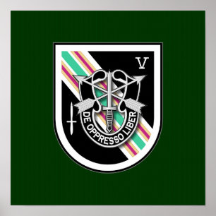 Pôster 5o SFG-A 6 TFD