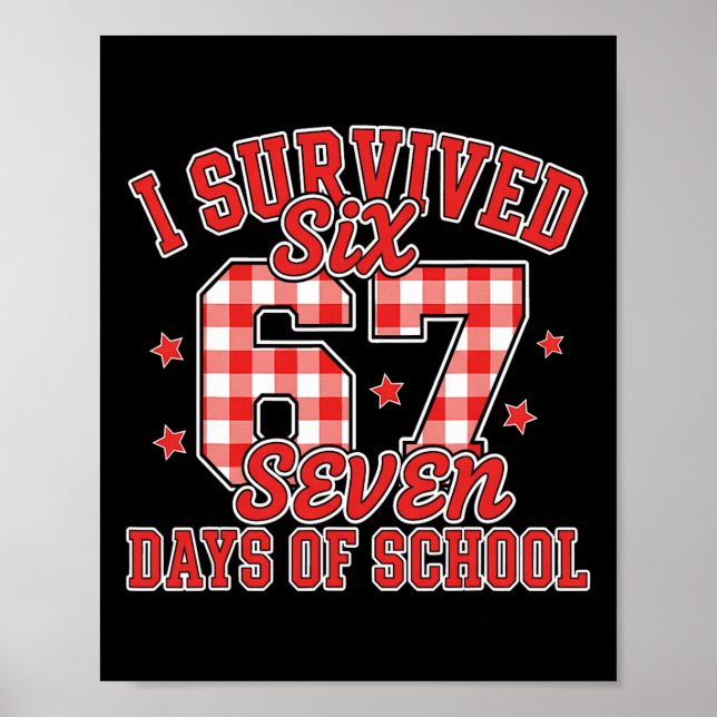 Poster 67º Dia De Aula Professor Crianças 67 Meme Profess (Frente)