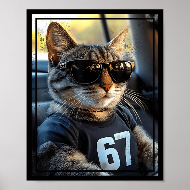 Poster 67 And Still Cool Funny Birthday Meme Cat  (Frente)