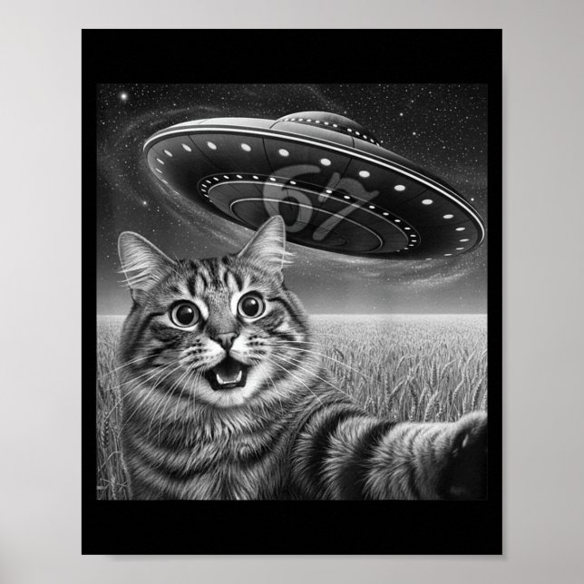 Poster 67 Cat Selfie With Alien Ufos Funny Cat Six Seven  (Frente)