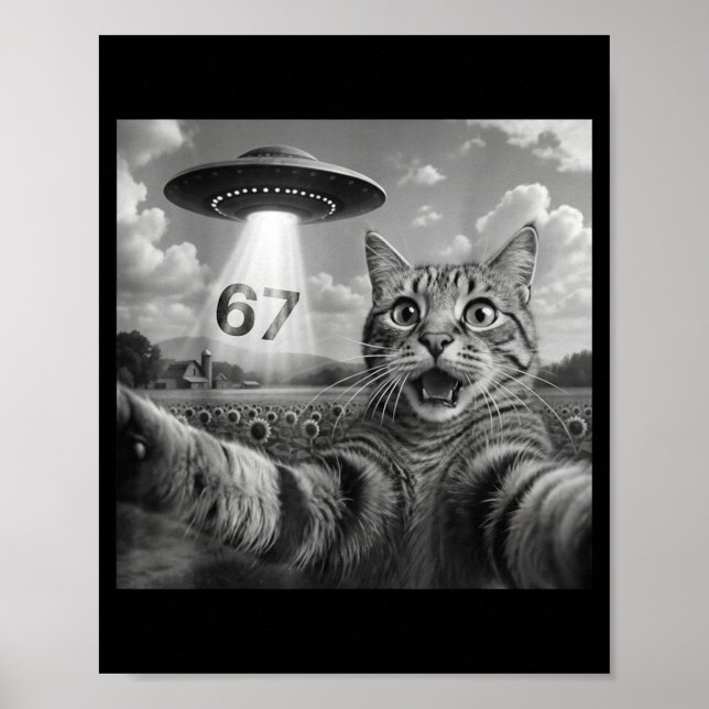 Poster 67 Cat Selfie With Alien Ufos Funny Cat Six Seven  (Frente)