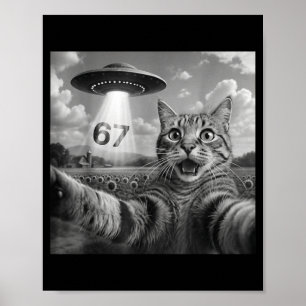 Poster 67 Gato Selfie Com Alien Ufos Gato Divertido Seis