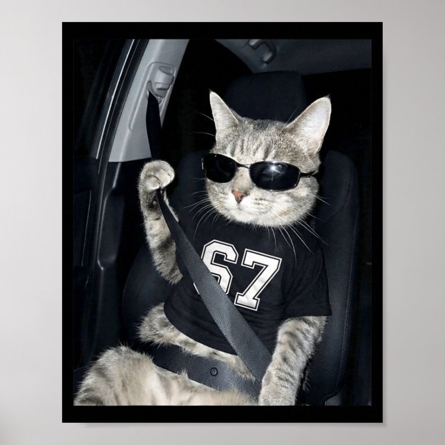 Poster 67 Gato Usando Óculos de Sol Geração Alpha Engraça (Frente)