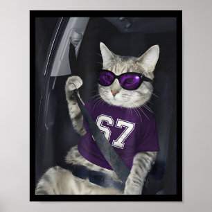 Poster 67 Gato Usando Óculos de Sol Meme Geração Alpha 6