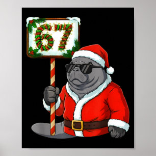 Poster 67 peixe-boi natal seis sete meme Brainrot Manat