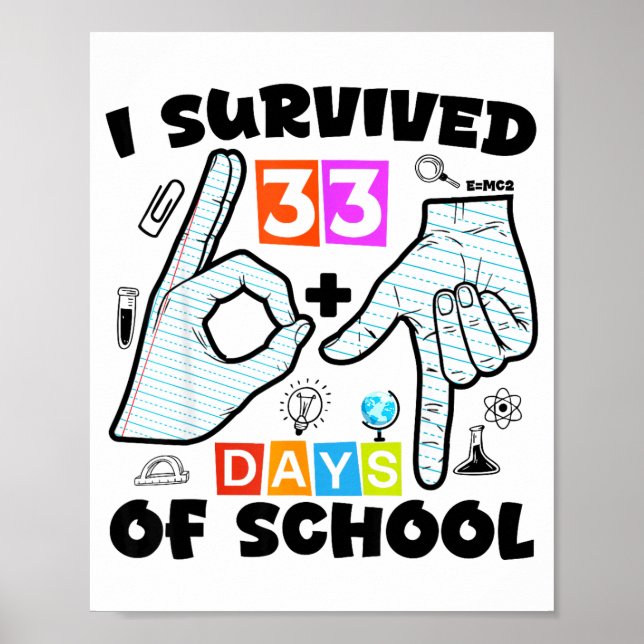 Poster 6 7 Meme Professor Eu Sobrevivi 67+33 Dias De Esco (Frente)