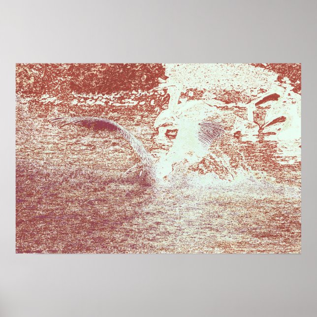 POSTER 71-B (Frente)