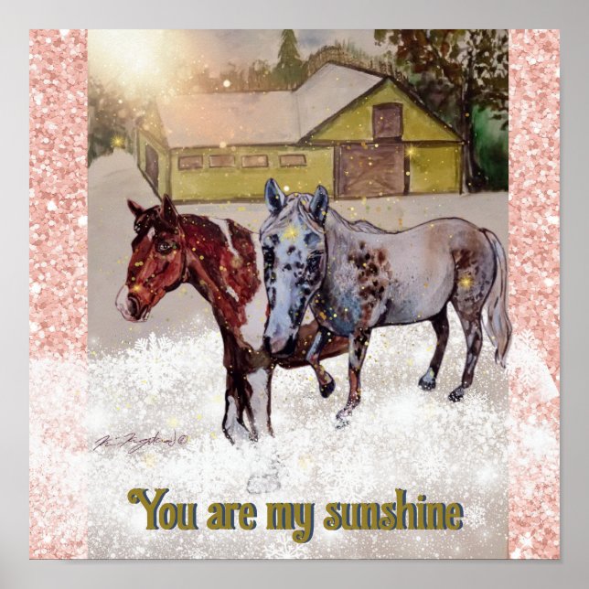 Poster 7 & Nokomis você é meu sol (Frente)