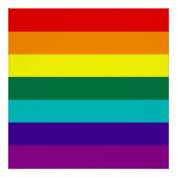 7 Stripes Rainbow Pride