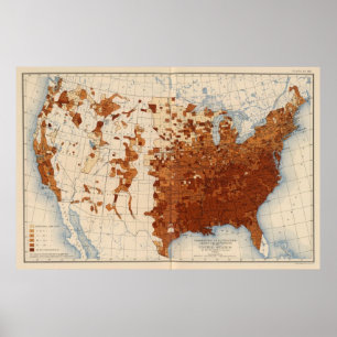 Pôster 80 Proportion illiterates Negro voters