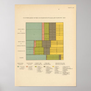 Pôster 87 ocupações pela raça, natividade 1900
