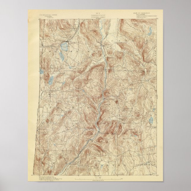 Poster 8 Folha de Cornwall (Frente)