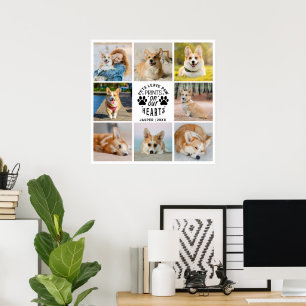 Poster 8 Foto Collage Pet Memorial