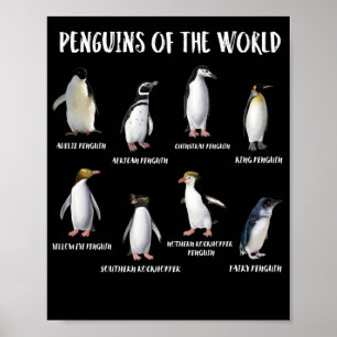 Poster 8 Pinguins Mais Raios dos Animais Engraçados do Mu