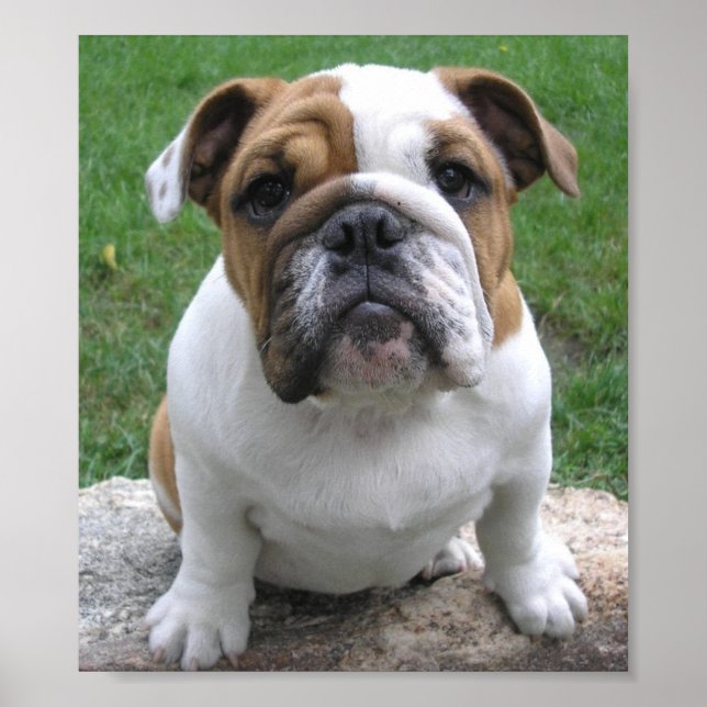 POSTER 9-17-05 003 (Frente)