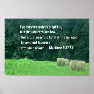 Pôster 9:37,38 de Matthew