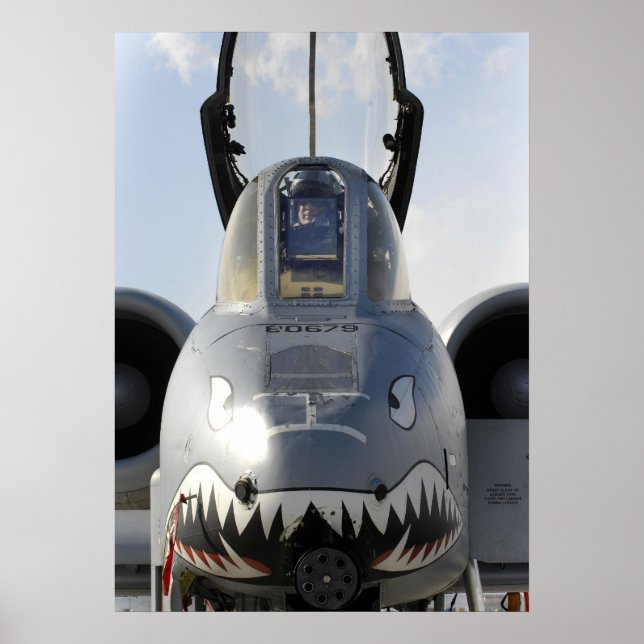 Poster A-10 Aeronave Thunderbolt II (Frente)