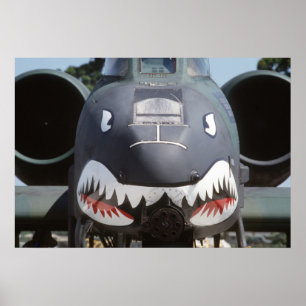 Pôster A-10 Thunderbolt II