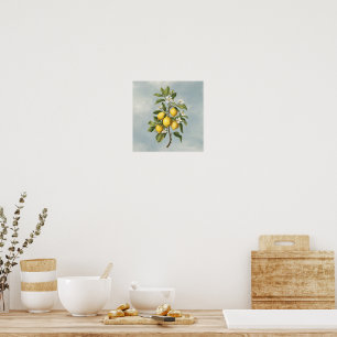 Poster A Abundância da Primavera: Florada da Laranjeira L
