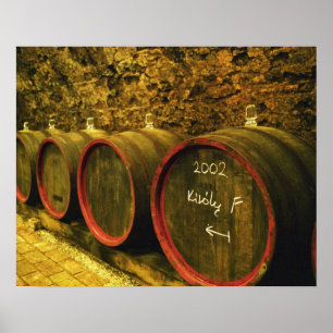 Pôster A adega Kiralyudvar: Barris com vinho Tokaj