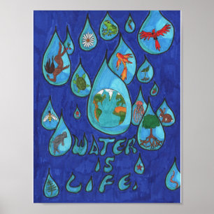 Poster A água é vida