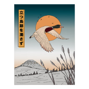 Pôster A água permanece parada depois que um pássaro leva