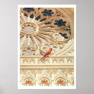 Poster "" A aguarela cardinal da igreja & do pássaro