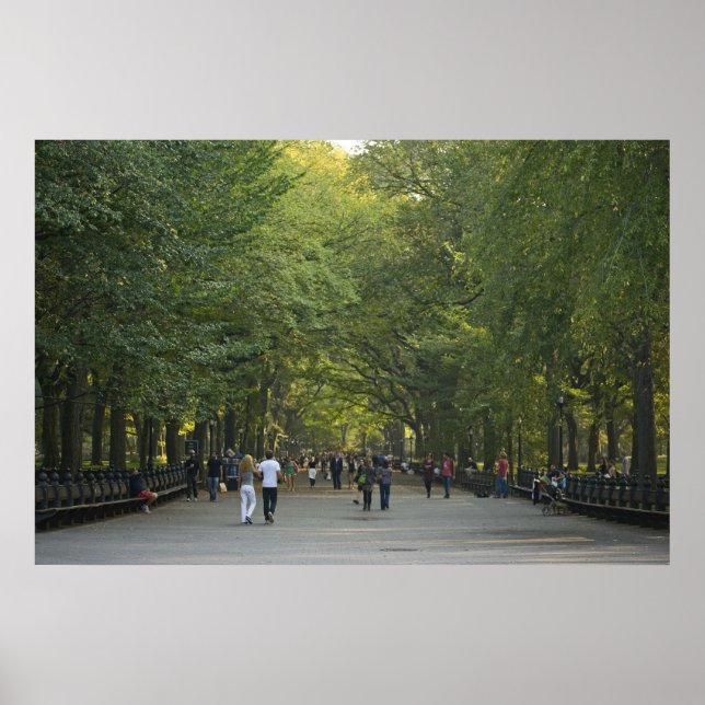 Pôster A Alameda Tarde do Verão (Frente)