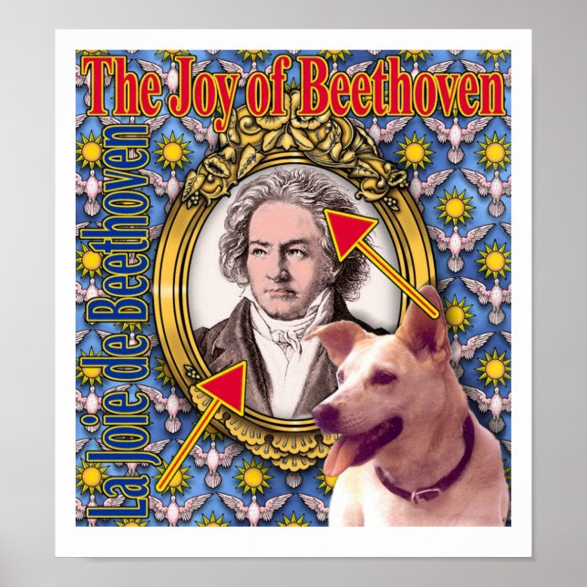 Poster A Alegria de Beethoven (Frente)