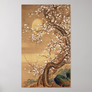 Poster A ameixa japonesa floresce à lua