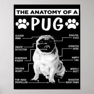 Poster A Anatomia De Um Pet Pug