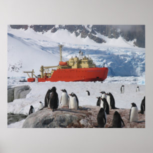 Poster A Antártica