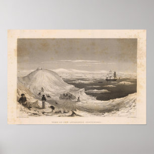 Pôster A Antártica 3