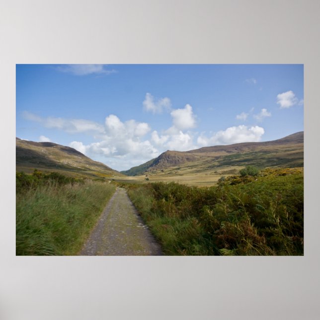 Pôster A antiga estrada Kenmare (Frente)