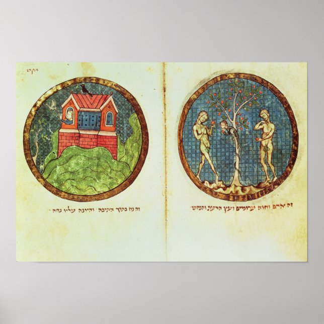 Pôster A Arca de Noah, o Adam e a Eva (Frente)