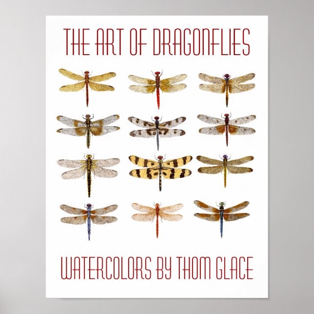 Poster A Arte De Dragonflies (Frente)