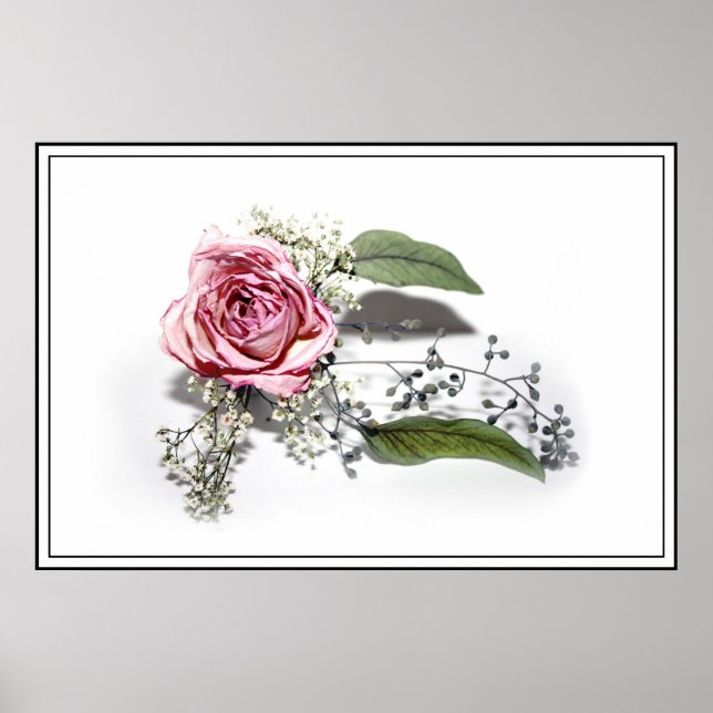 Pôster A Arte do Envelhecimento Graciosamente - Uma Rosa  (Frente)