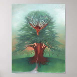 Poster A árvore da cura