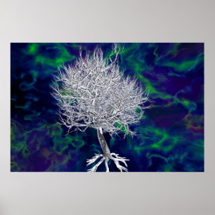 Poster A árvore de vida proibida