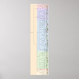 Pôster A Árvore do Yum: Plantae