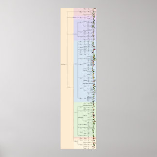 Pôster A Árvore do Yum: Plantae