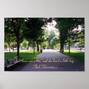 Pôster A Árvore Doadora