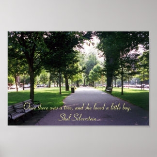 Pôster A Árvore Doadora