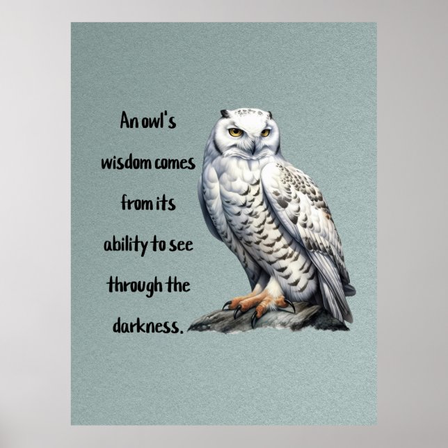 Poster A beautiful white wise Owl (Frente)