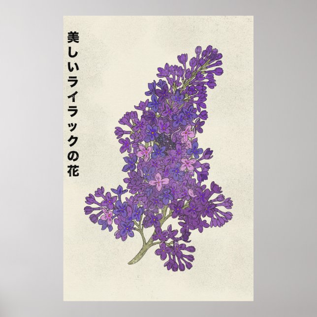 Poster A Bela Flor Lilás (Frente)