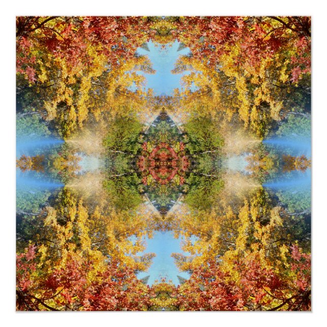 Pôster A bela floresta no outono... (Frente)